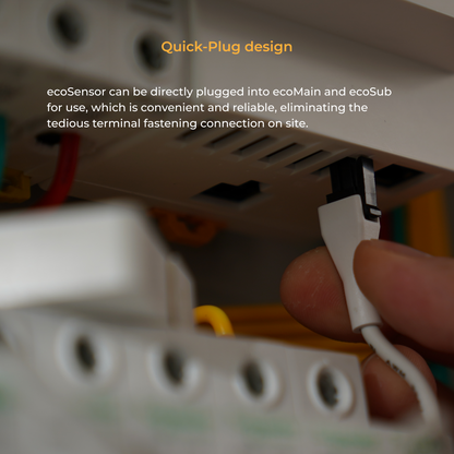 ecoSensor-30A Transformer